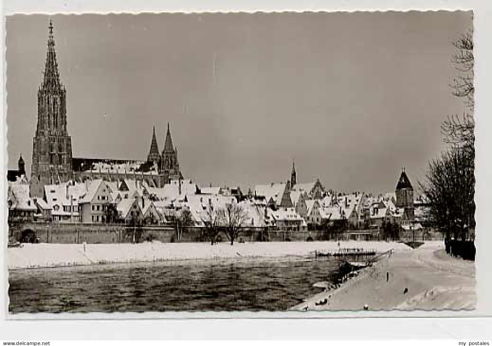 Ulm Donau Ulm