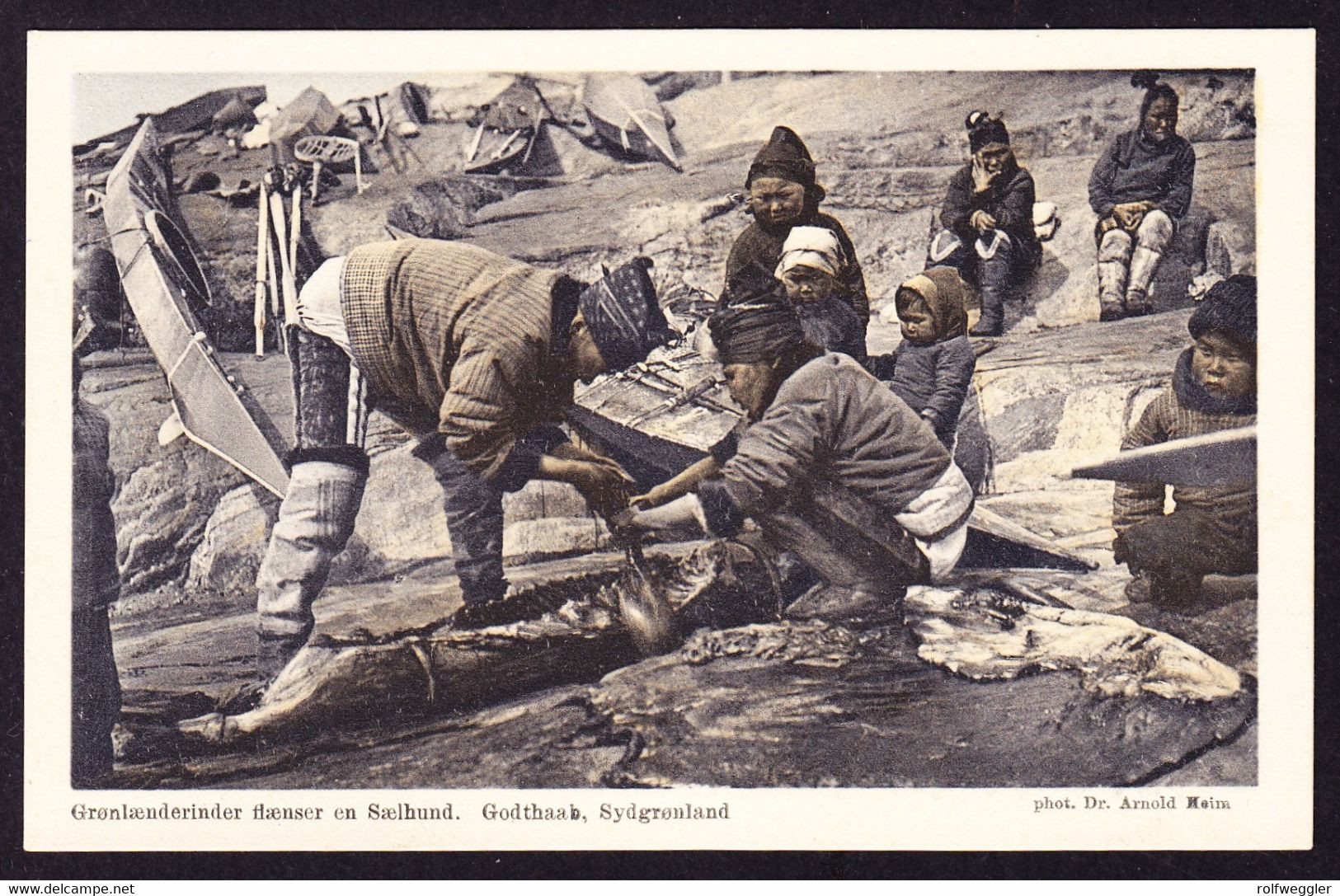 um 1920 ungelaufene AK: Schlachtung eines Seehundes.