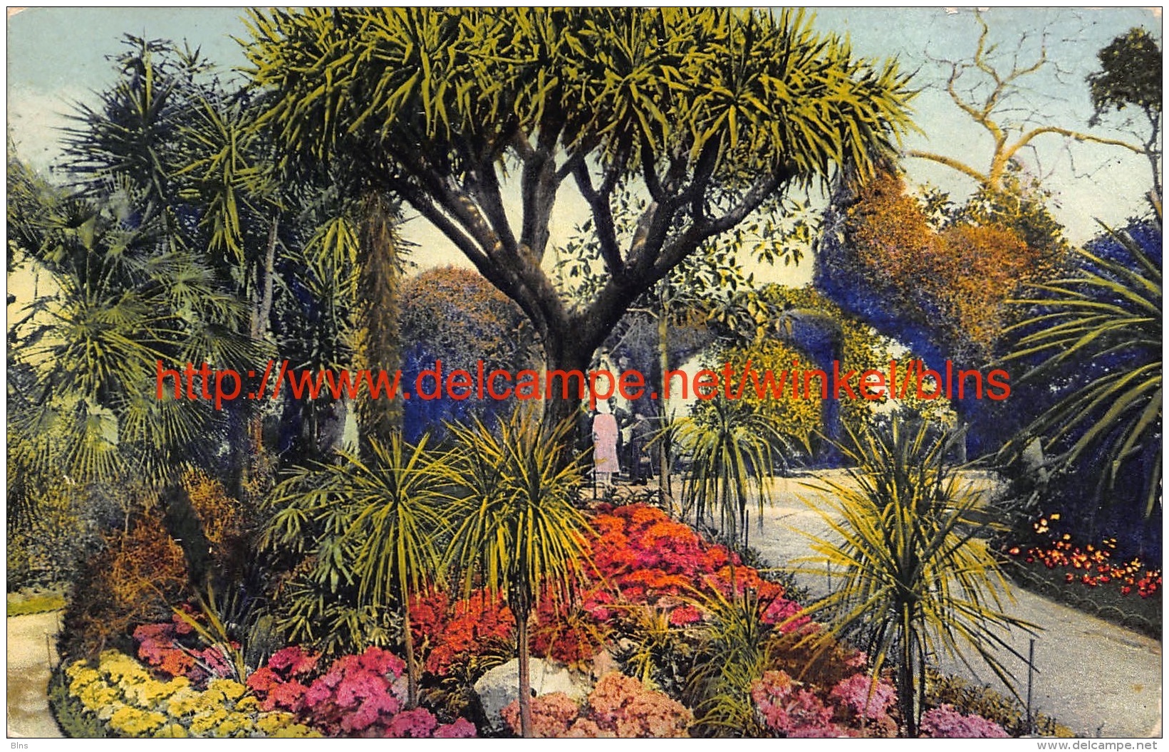 Un coin de Jardin - Monte-Carlo