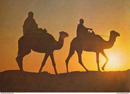 Tunesien, Retour du Sahara ngl #F4479