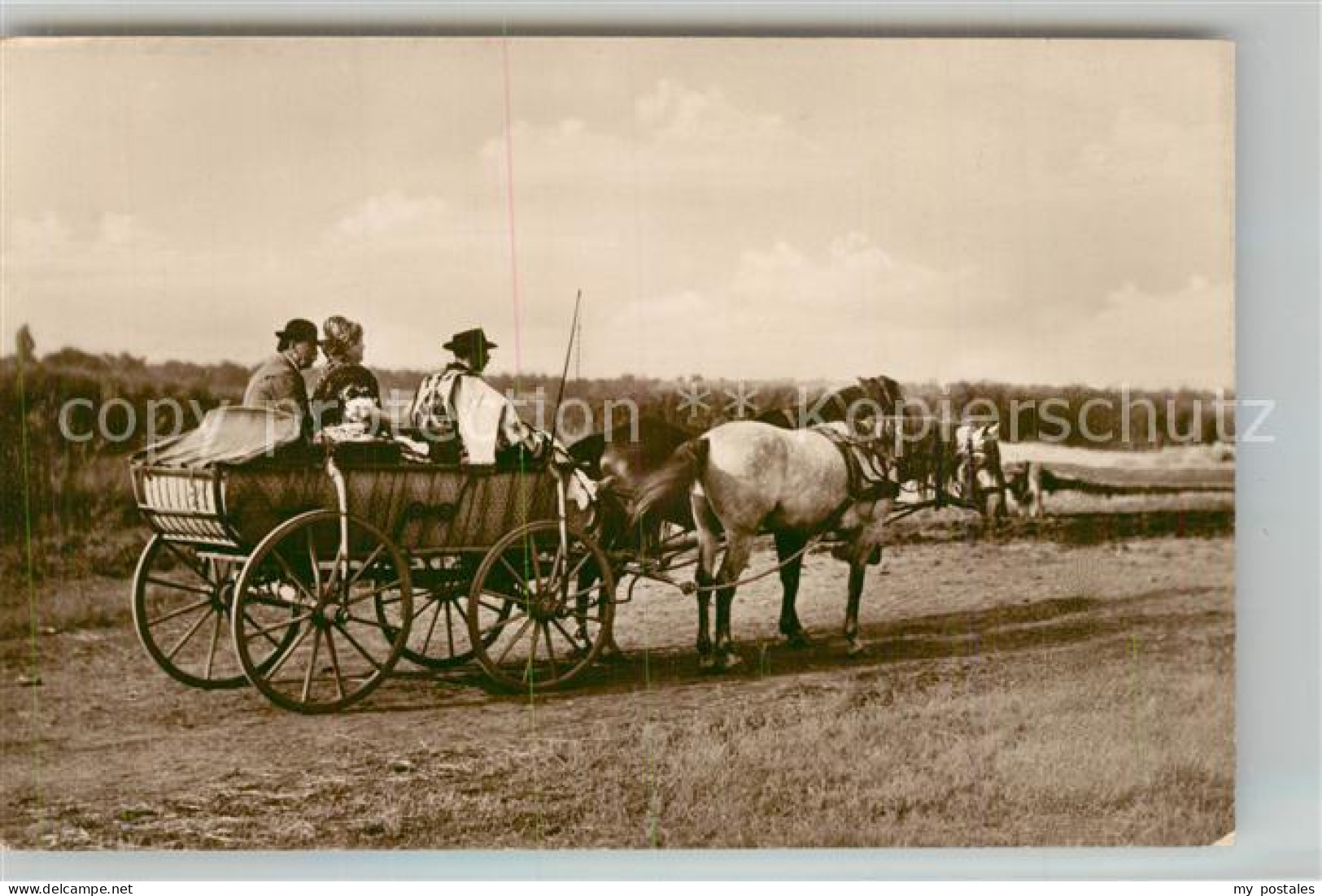 Ungarn Pferdekutsche