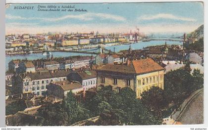 (23864) AK Budapest, Donauansicht mit Brücken, vor 1945