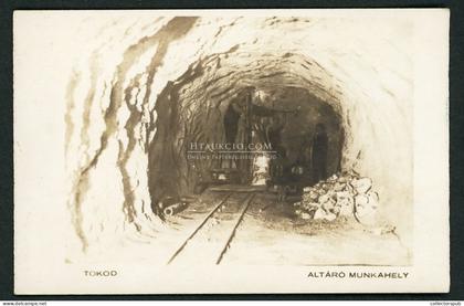 TOKOD  Altáró munkahely fotós képeslap