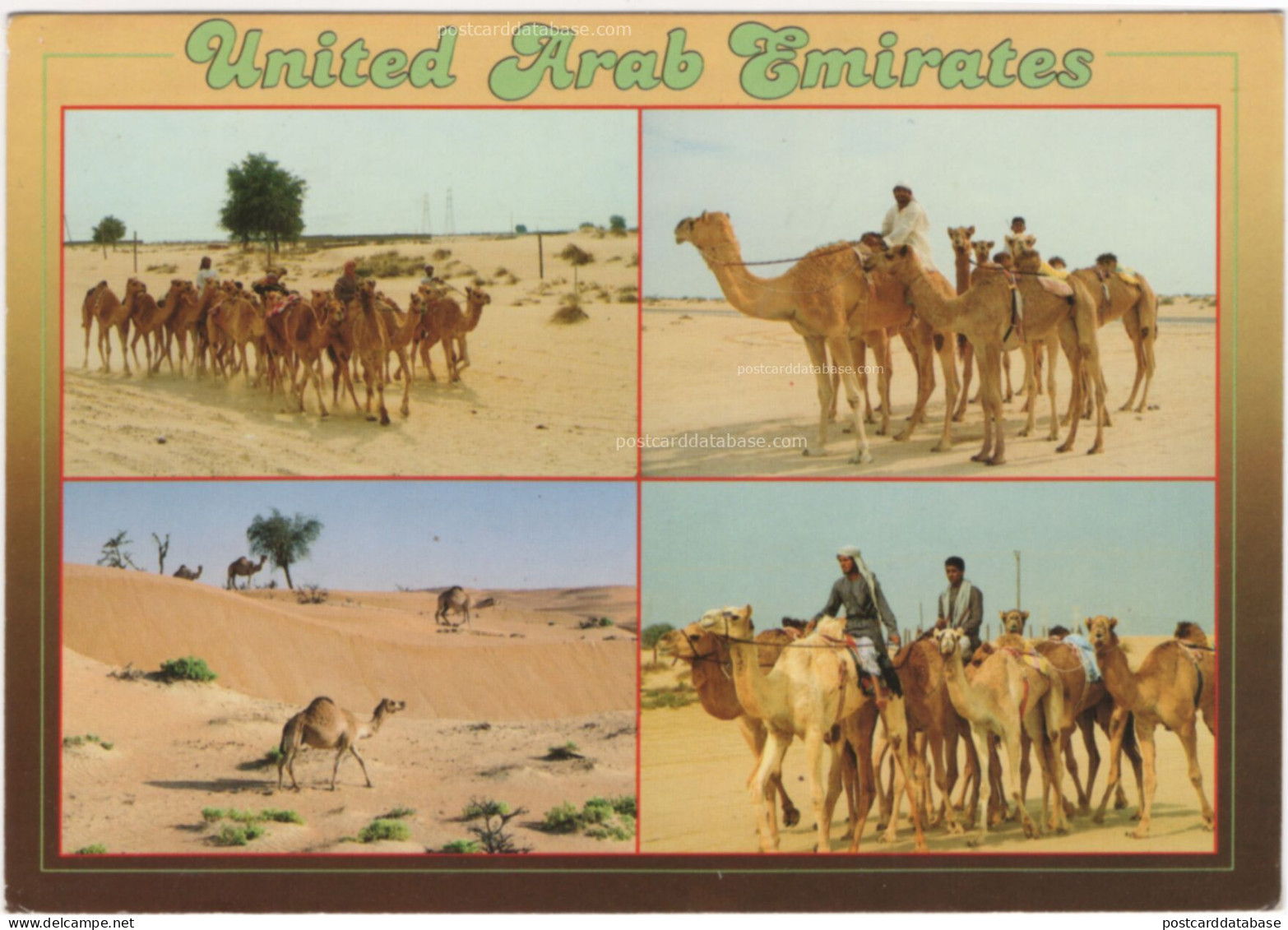United Arab Emirates - & camel
