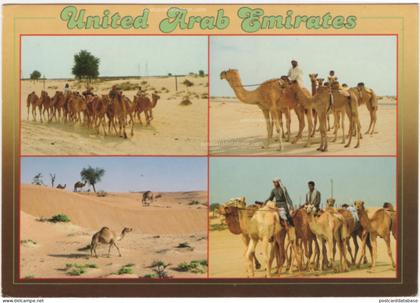 United Arab Emirates - & camel