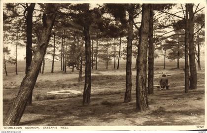 CPA Wimbledon Common Caesar's Well