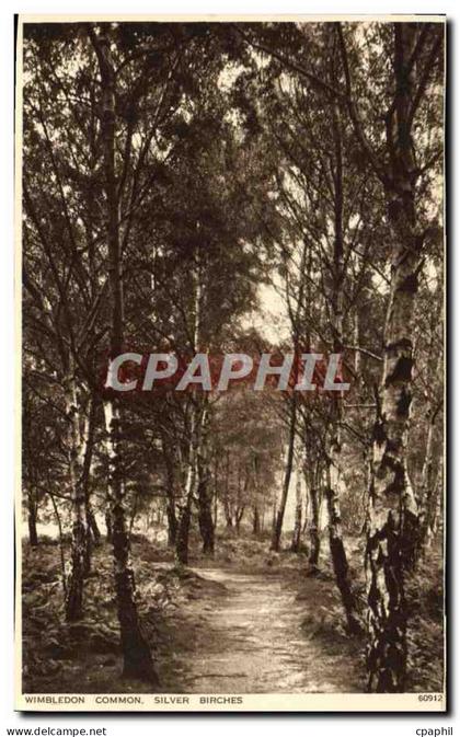 CPA Wimbledon Common Silver Birches