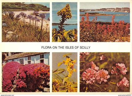 B100448 flora on the isles of scilly uk