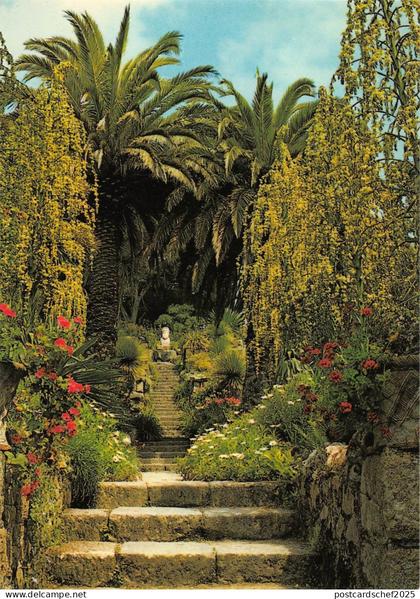BR75609 tresco gardens  isles of scilly   uk