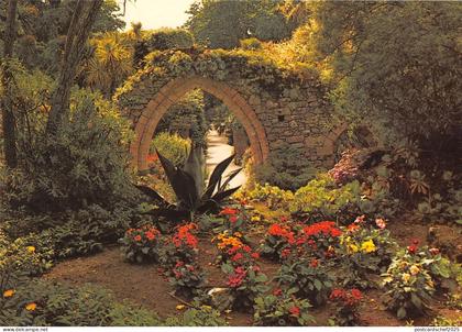 BR75686 tresco gardens    isles of scilly   uk