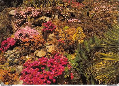 BR90780 tresco gardens isles of scilly 1 uk