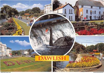 BT18329 dawlish devon    uk