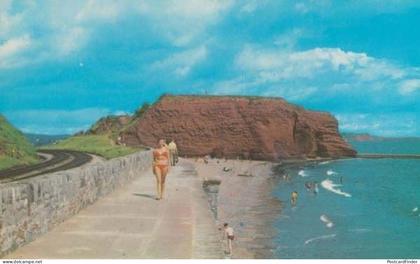 Langstone Rock Dawlish Devon 1970s Postcard