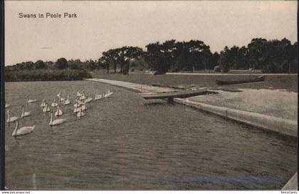 Poole Dorset Swans Park