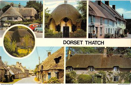 uk8730 dorset thatch  uk