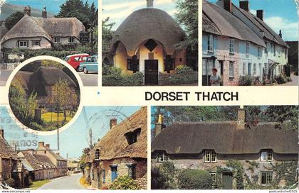 uk9661 dorset thatch uk