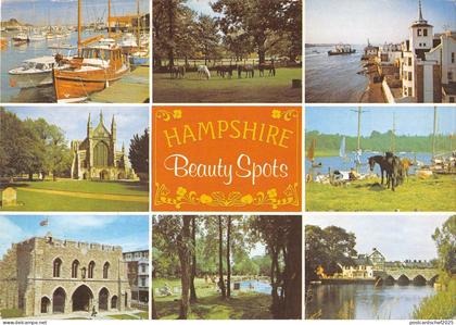 BR90382 hampshire beauty spots  uk