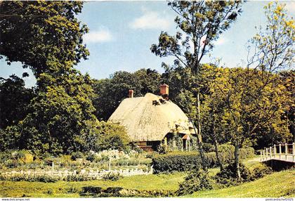 uk47184 new forest hampshire uk