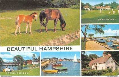 uk9820 beautiful hampshire uk horse