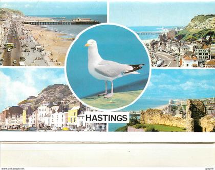 CPM Hastings St Leonards