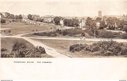 A030 England Tunbridge Wells The Common vintage postcard