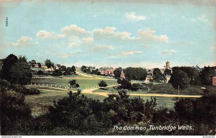 A889 England 1913 The Common Tunbridge Wells postcard