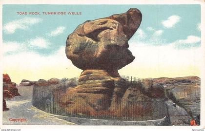 A920 England Toad Rock Tunbridge Wells vintage postcard