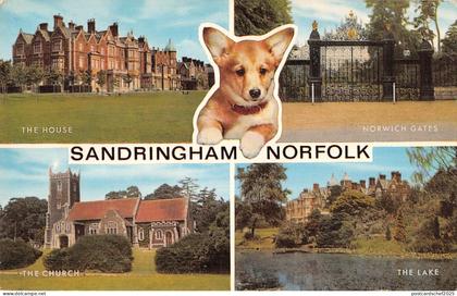uk7201 sandringham norfolk uk