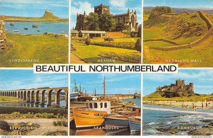 uk11229 beautiful northumberland  uk