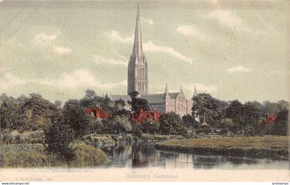 A034 England Salisbury Cathedral vintage postcard
