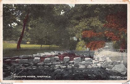 B182 England 1907 Endcliffe Woods Sheffield vintage postcard