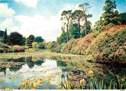Carte Postale - Angleterre - Sheffield - Sheffield Park - Yorkshire - England - Royaume Uni - UK - United Kingdom - CPM