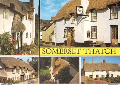 B102389 somerset thatch   uk