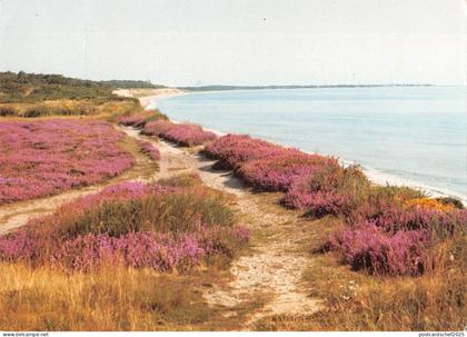 BR92148 dunwich heath suffolk   uk