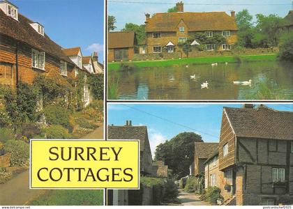 BR76314 surrey cottages    uk