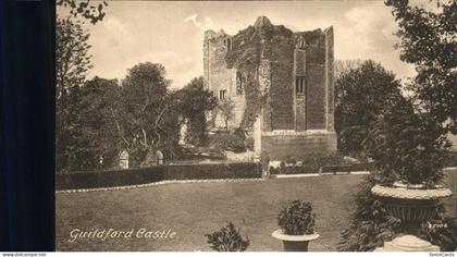 Surrey Heath Guildford Castle