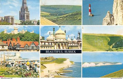uk10807 beautiful sussex  uk