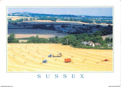 uk34177 sussex uk