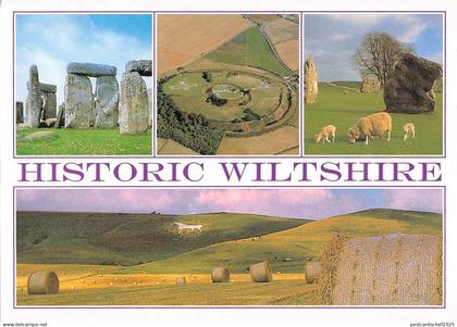 BR75997  historic wiltshire  uk