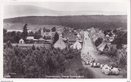 ECOSSE(TOMINTOUL)TOMNABAT