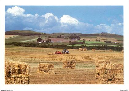 CPSM Dumfriesshire Farmland    L514