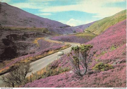 [-15%] ROYAUME UNI - Inverness shire - The Slochd Pass - Carte Postale