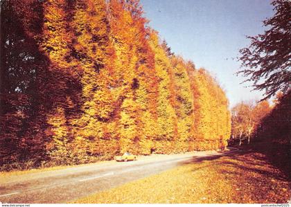 uk35252 blairgowrie  scotland  uk