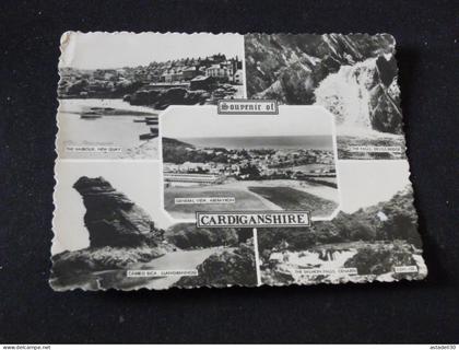 Souvenir of CARDIGANSHIRE  ......... G-2208