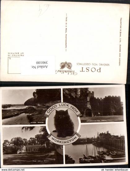 390100,Great Britain England Workington Hall Harbour Hall Mill Katze Mehrbildkarte