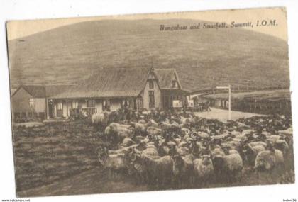 ILE DE MAN BUNGALOW AND SNAEFELL, SUMMIT, I.O.M. 1920 CPA troupeau de moutons
