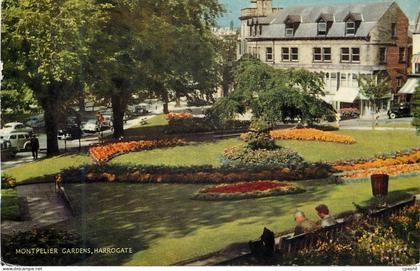 CPM Montpelier Gardens Harrogate