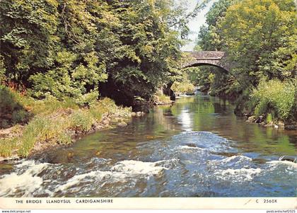 B102486 the bridge llandysul cardiganshire wales