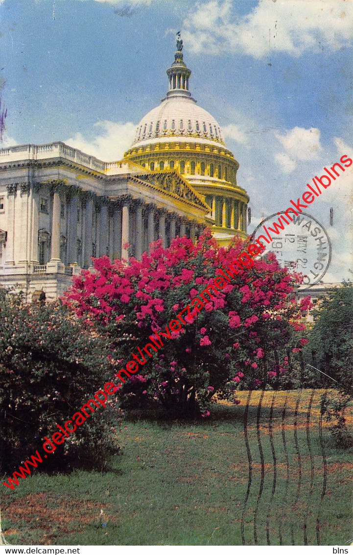 United States Capitol - Washington D.C. - United States USA