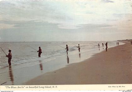 B361 US New York The Blues Are In on beautiful Long Island Fishermen postcard
